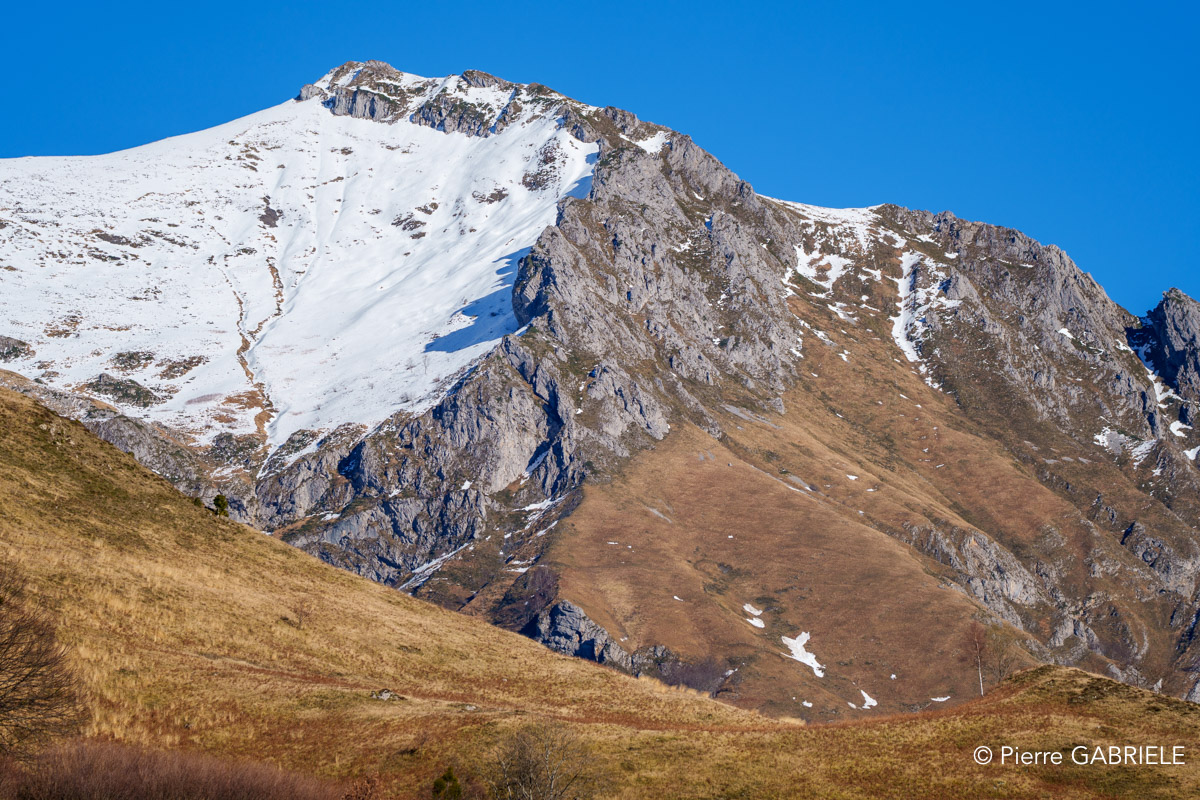 aydius-a74_01441.jpg