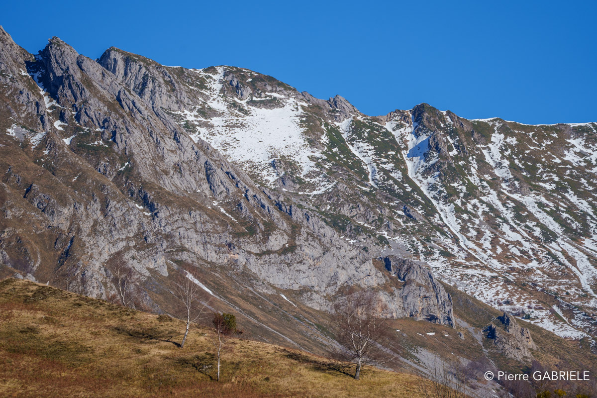 aydius-a74_01442.jpg