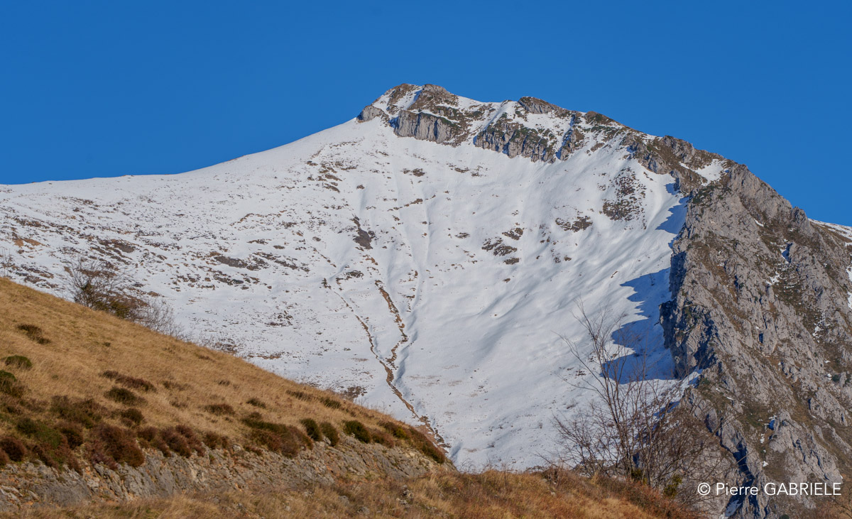 aydius-a74_01457.jpg