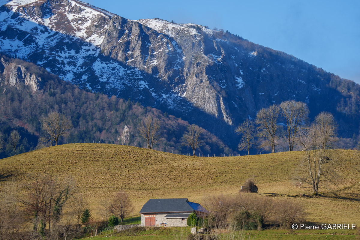 benou--a74_01272.jpg