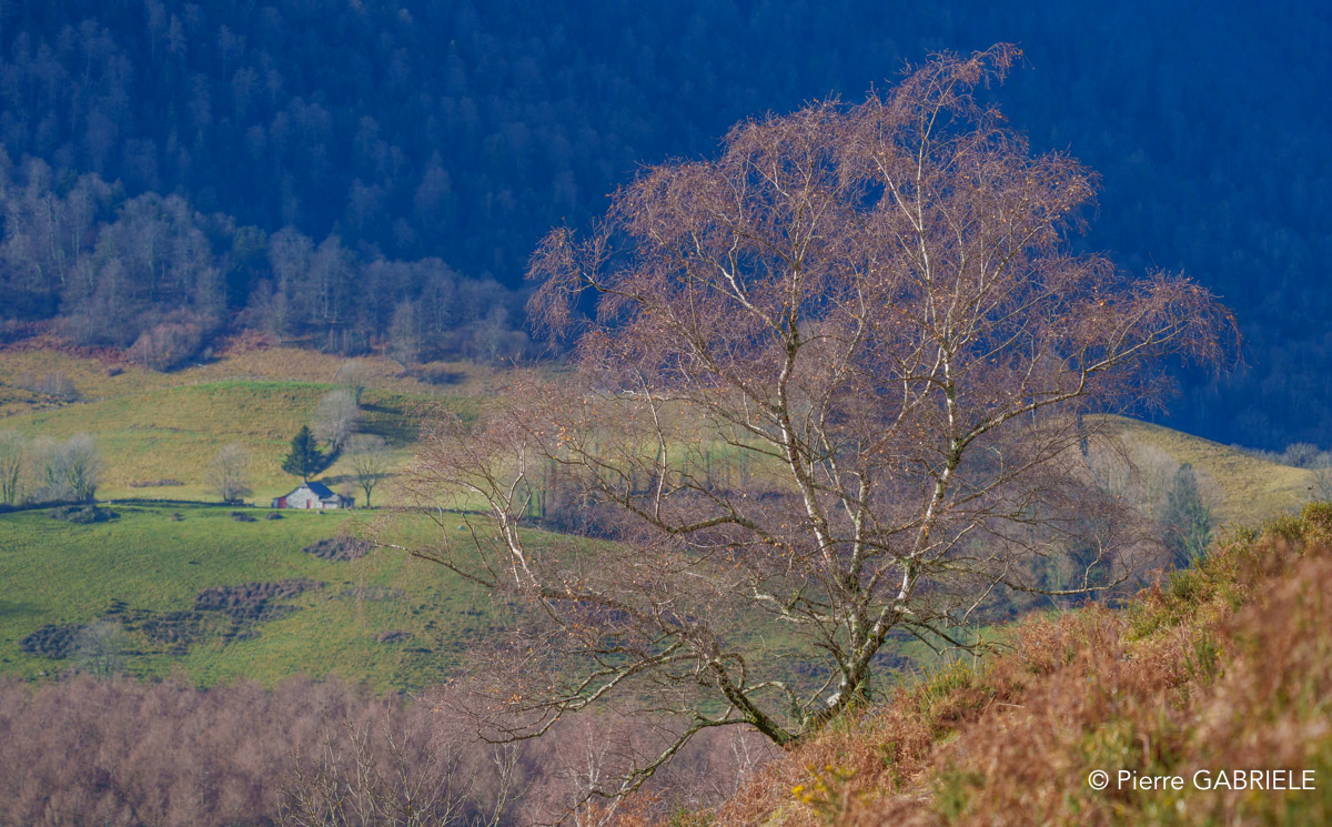 benou--a74_01280.jpg