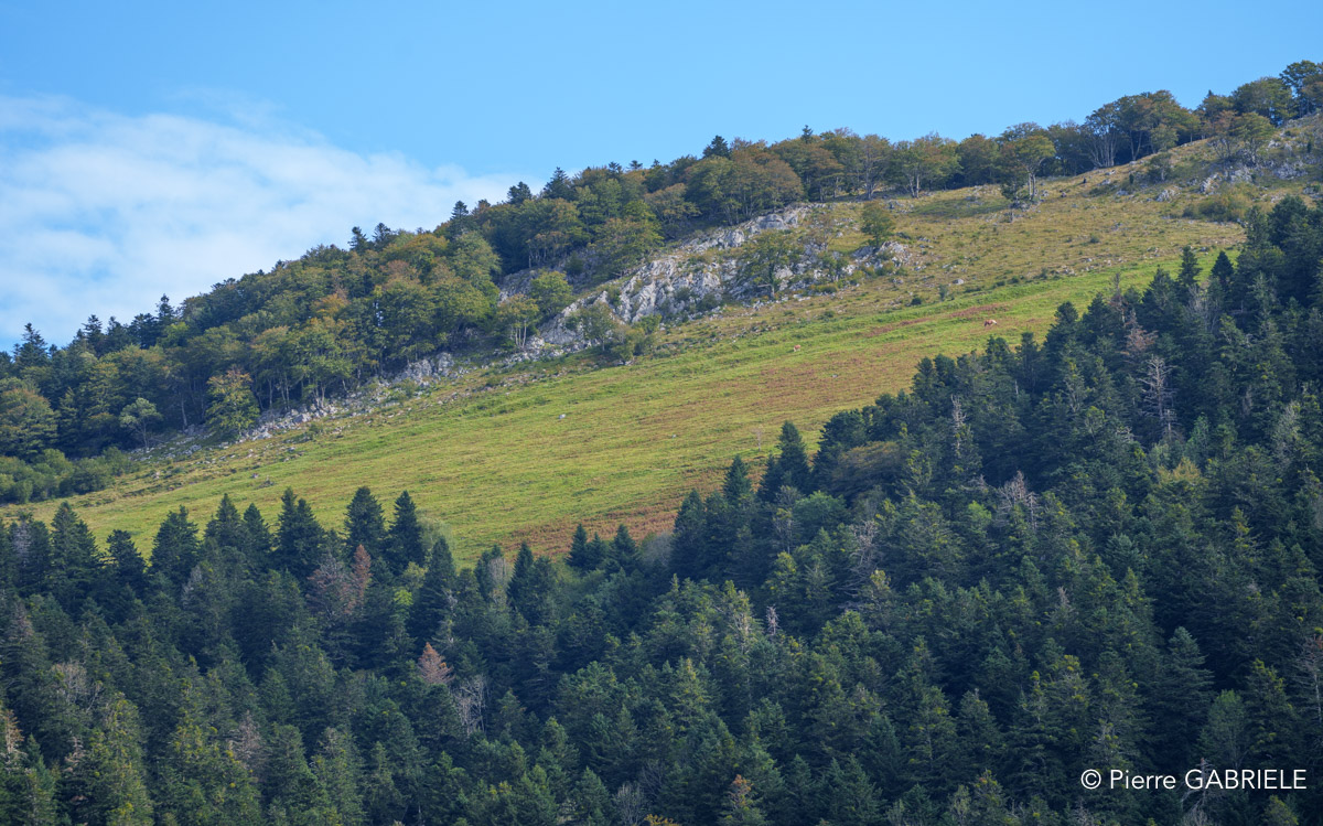 benou-a74_00721.jpg