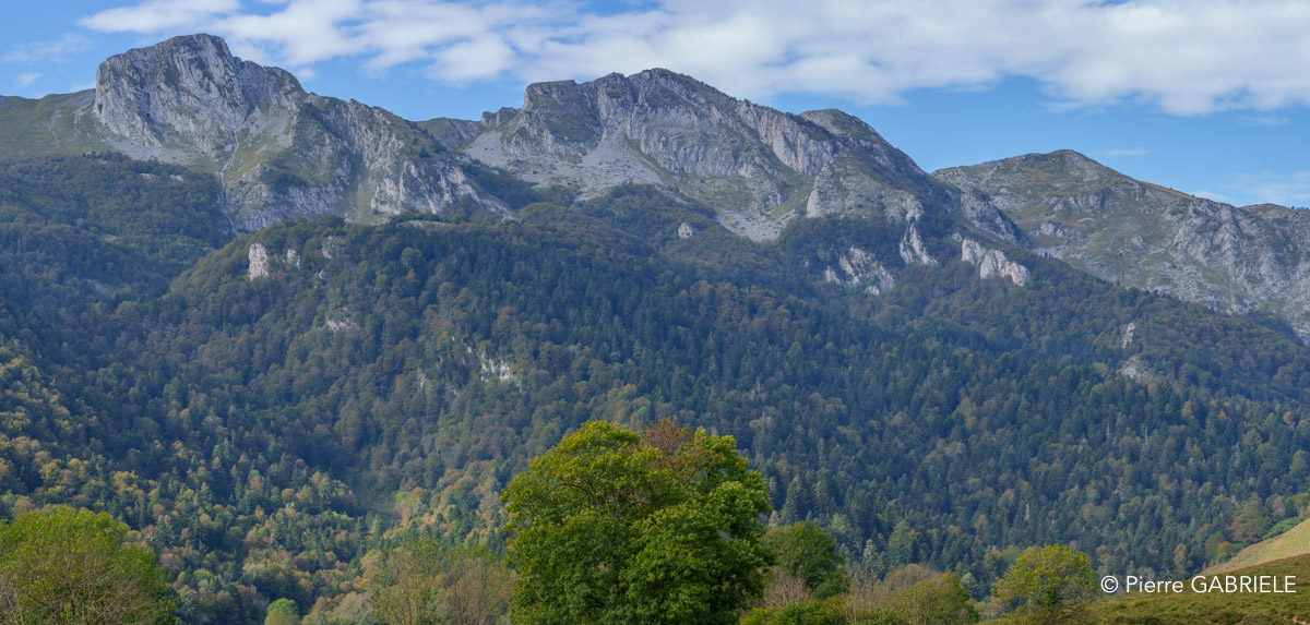 benou-a74_00729-Panorama.jpg