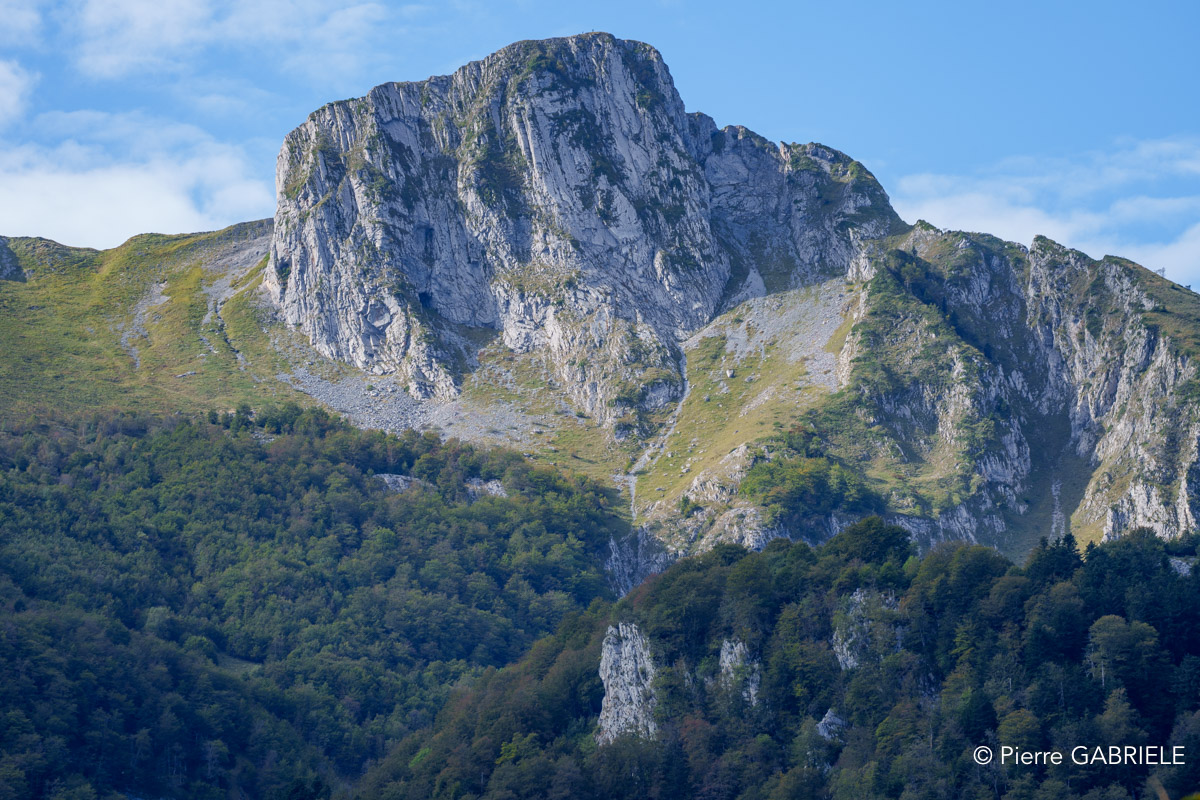 benou-a74_00751.jpg