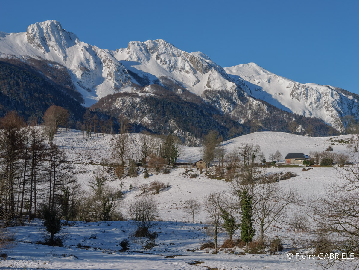 benou-gh6_4692.jpg