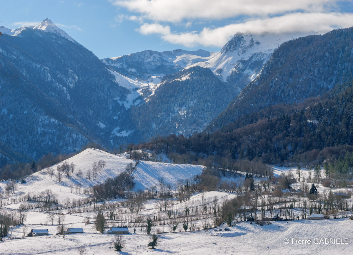 benou-gh6_4715.jpg