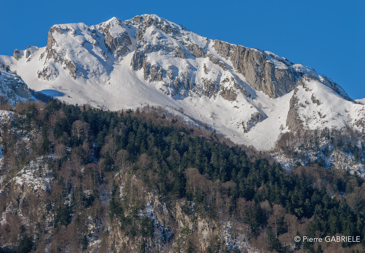 benou-gh6_4801.jpg