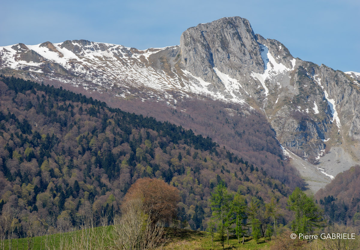 benou-gh6_4889.jpg