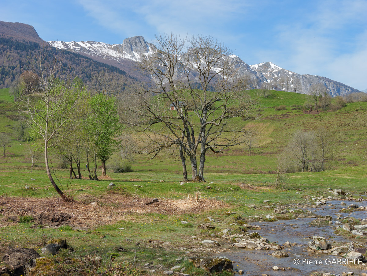 benou-gh6_4905.jpg
