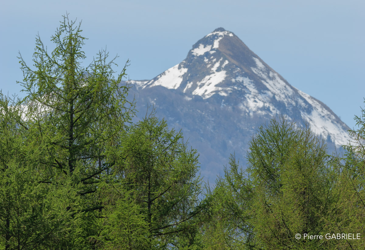 benou-gh7_0708.jpg