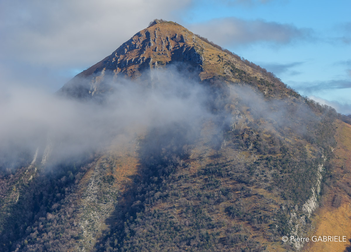 benou-gh7_3324.jpg