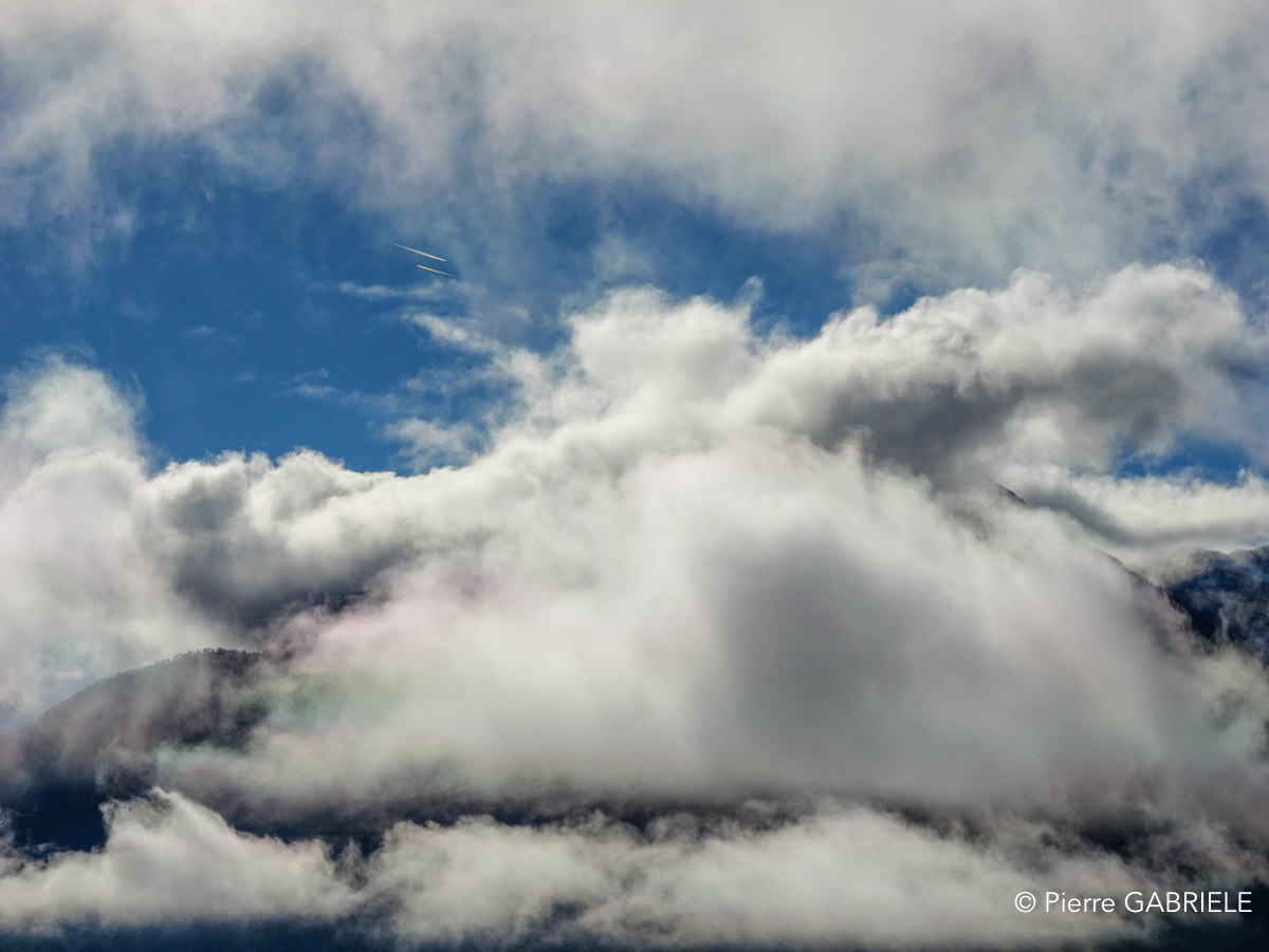 benou-gh7_3329.jpg