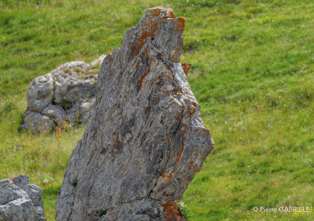 lepourtalet-gh7_2269.jpg