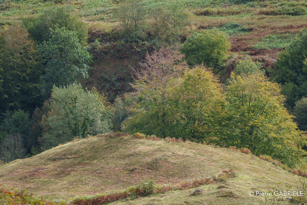 lescun-a74_00761.jpg