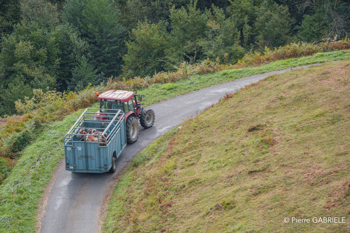 lescun-a74_00803-flou.jpg