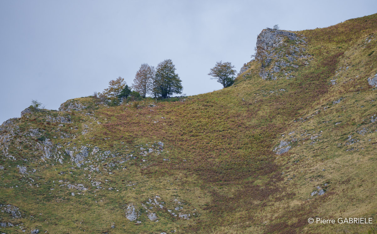 lescun-a74_00992.jpg