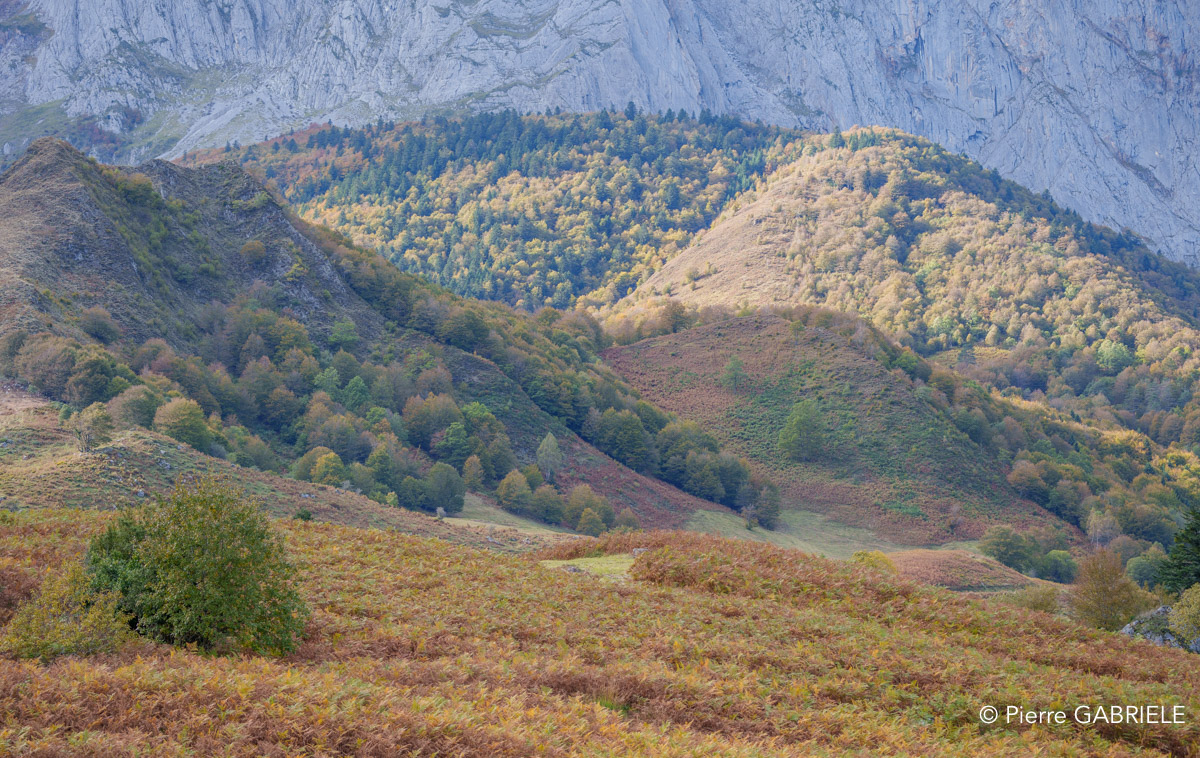 lescun-a74_01020.jpg