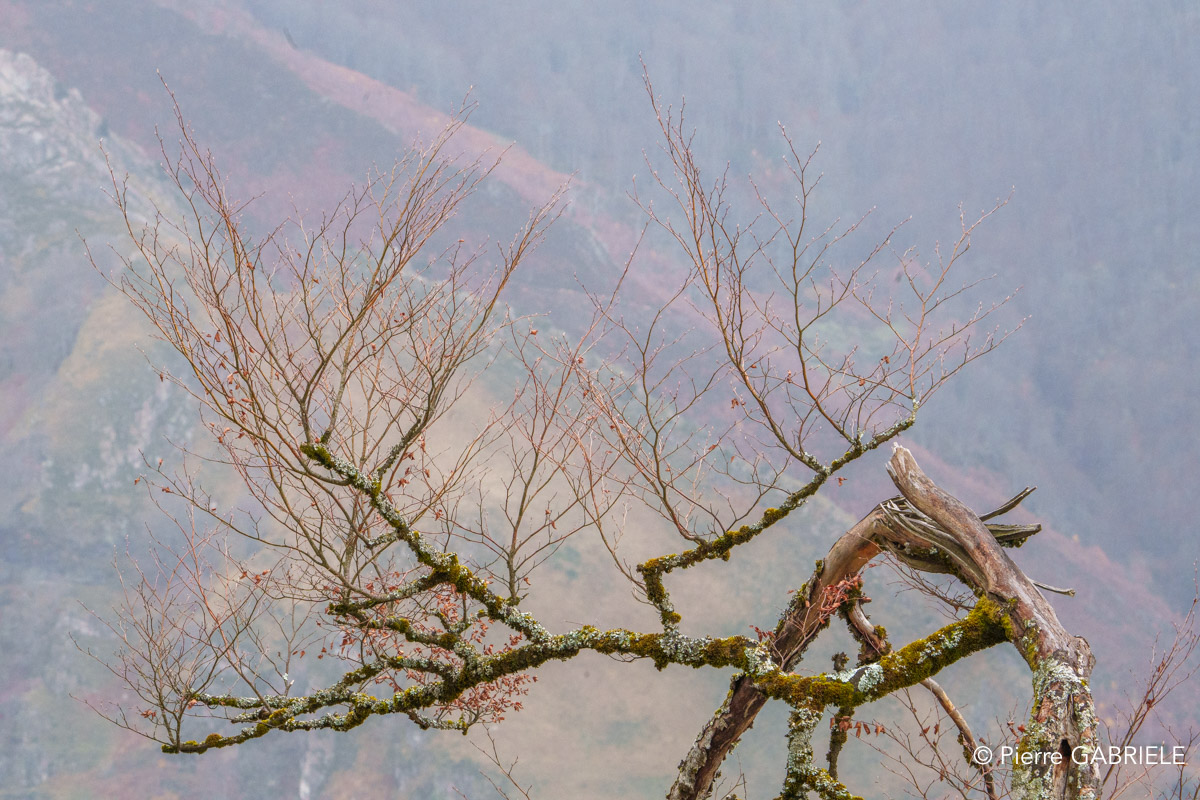 lescun-depuis-belvedere-a74_01119.jpg
