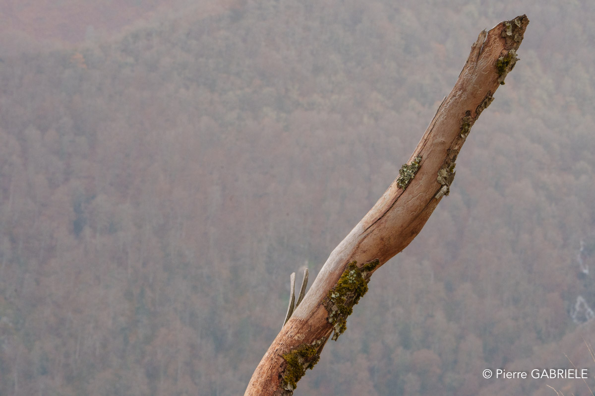 lescun-depuis-belvedere-a74_01120.jpg