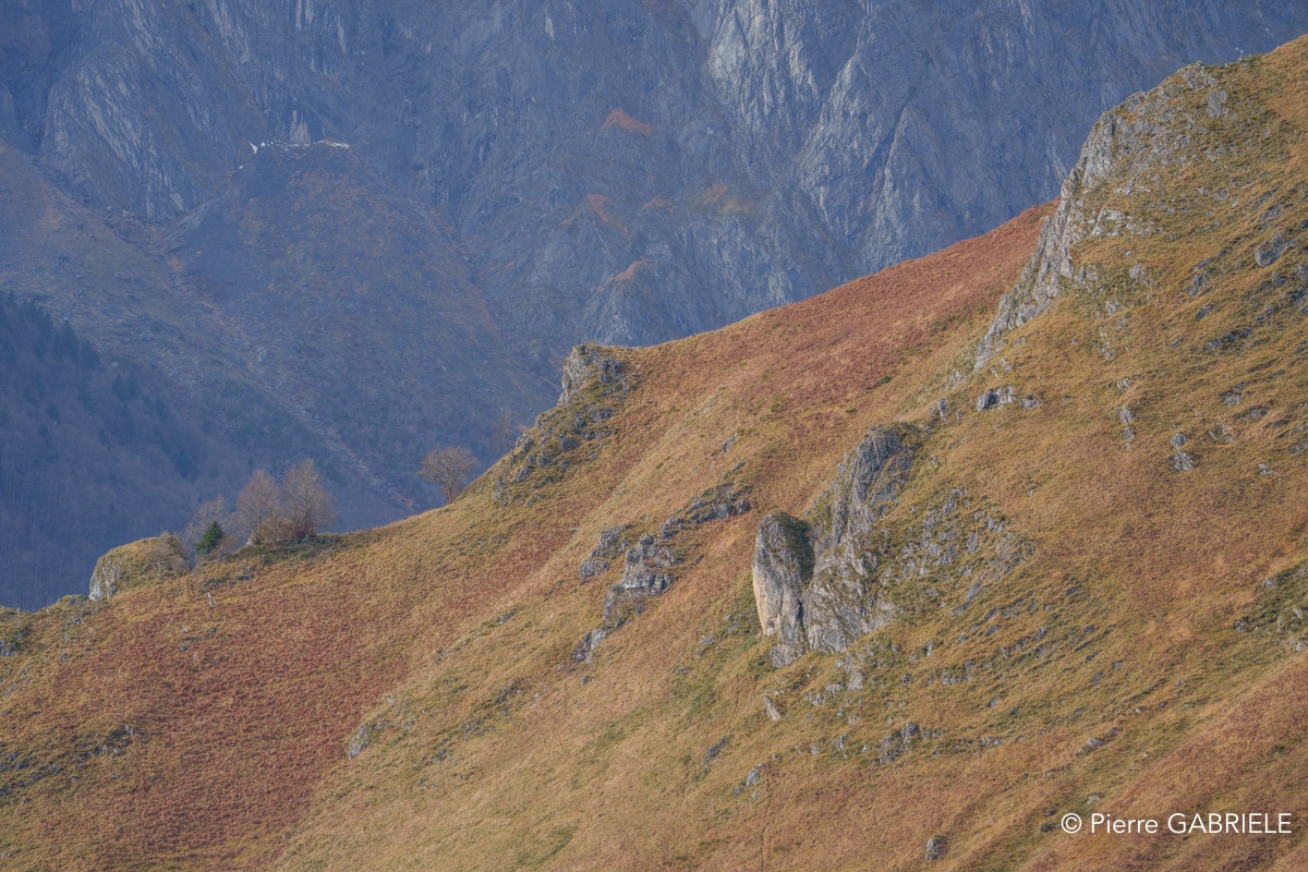 lescun-depuis-belvedere-a74_01124.jpg