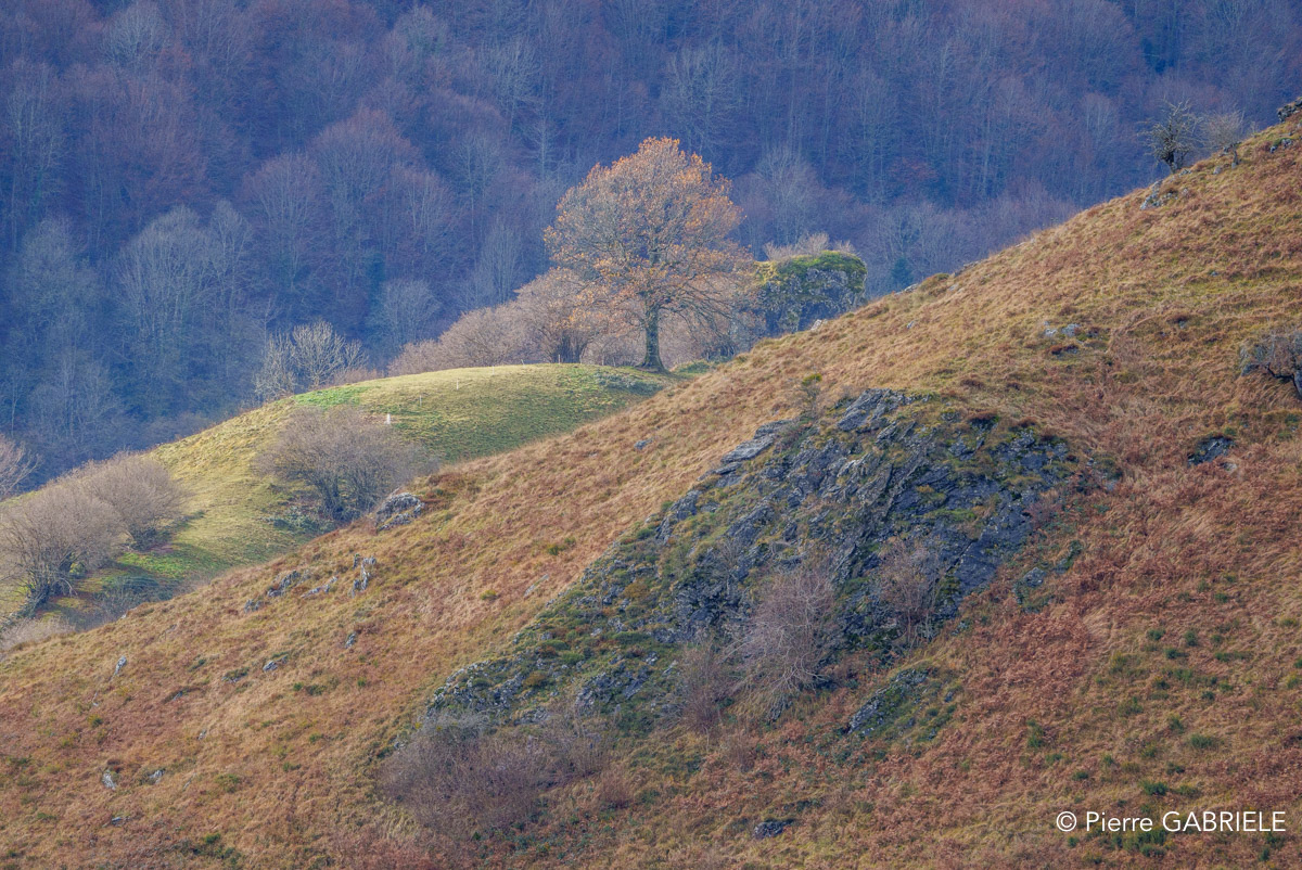 lescun-depuis-belvedere-a74_01132.jpg