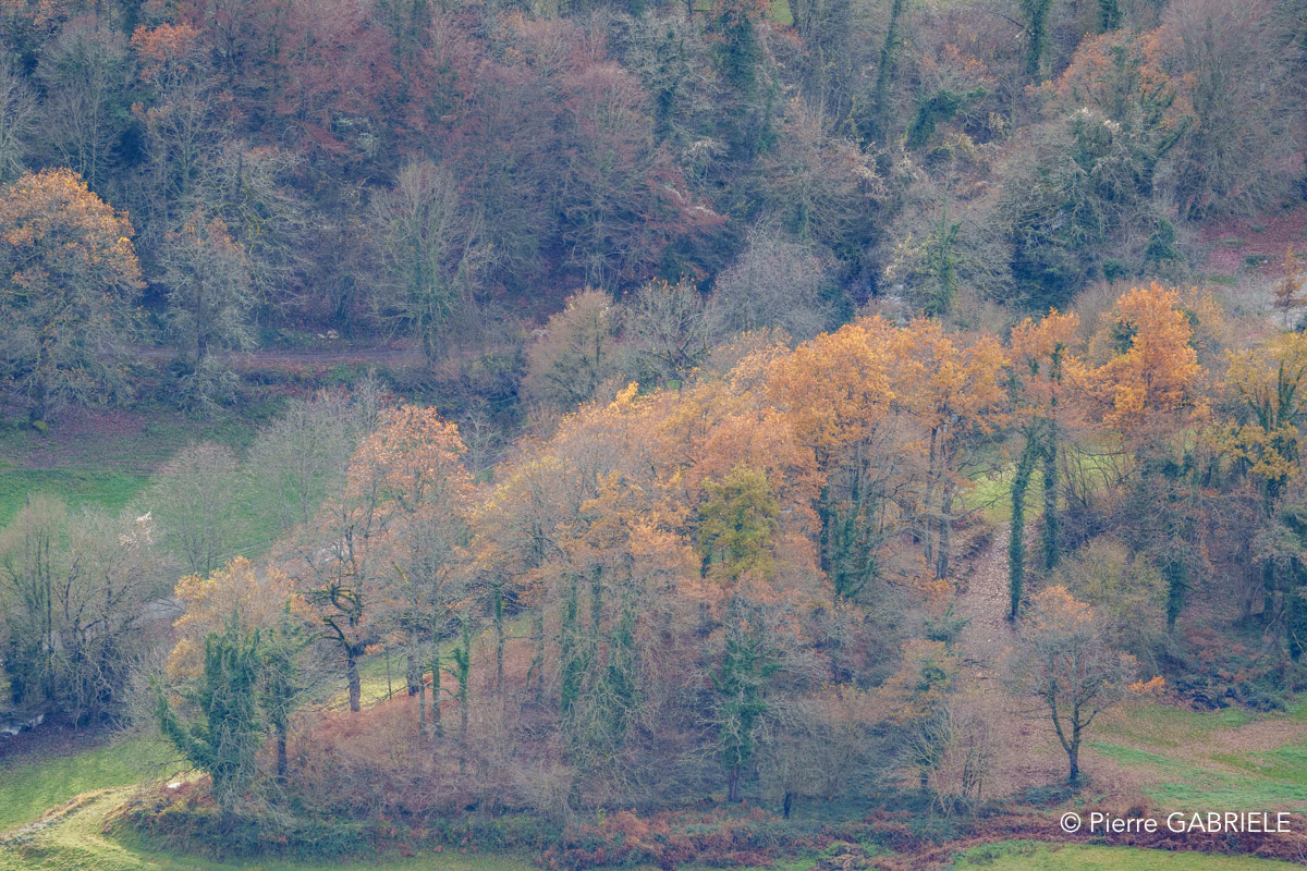 lescun-depuis-belvedere-a74_01133.jpg