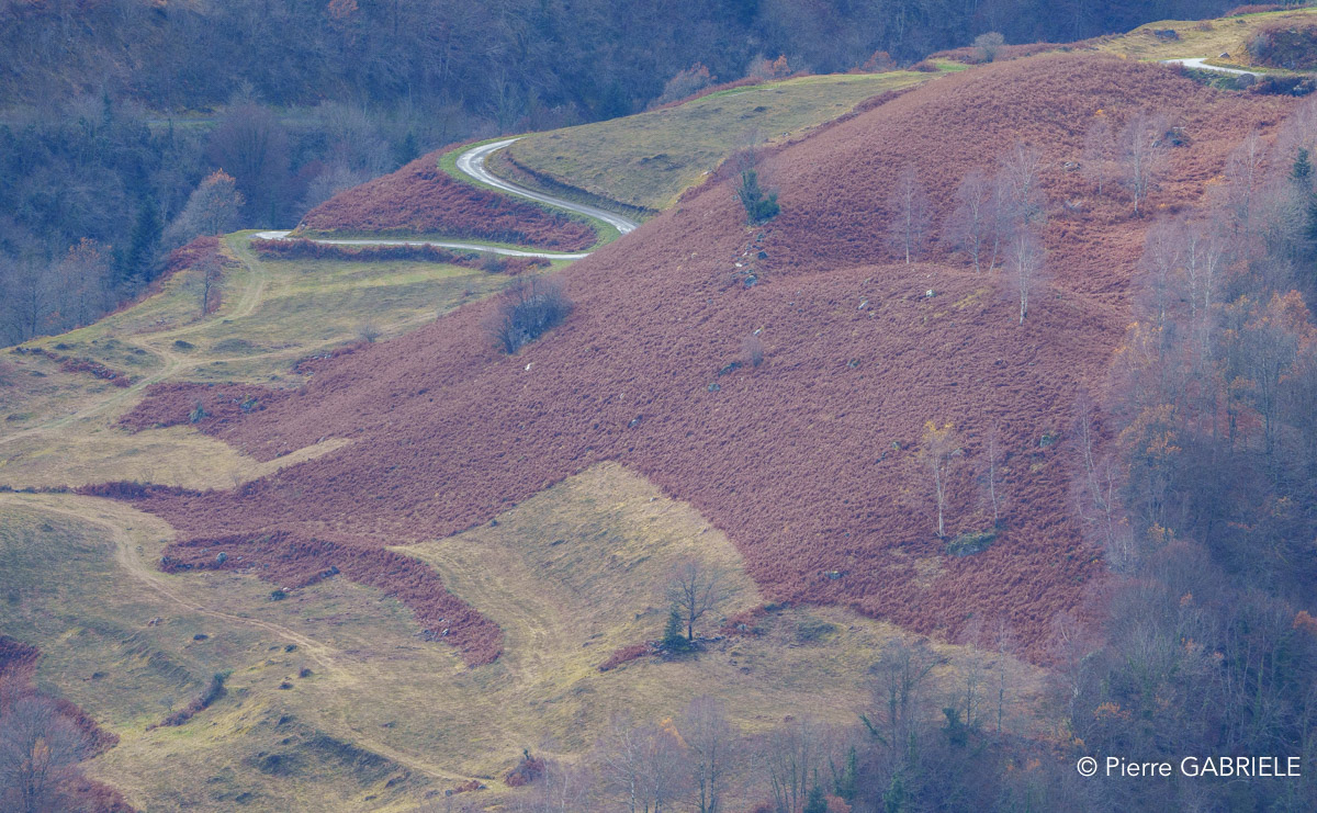 lescun-depuis-belvedere-a74_01136.jpg