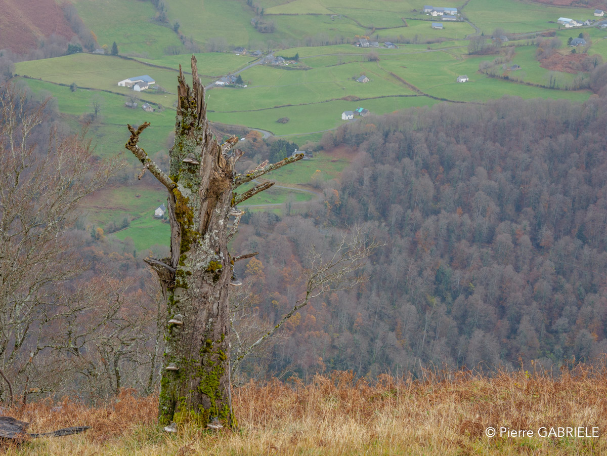 lescun-depuis-belvedere-gh7_3292.jpg