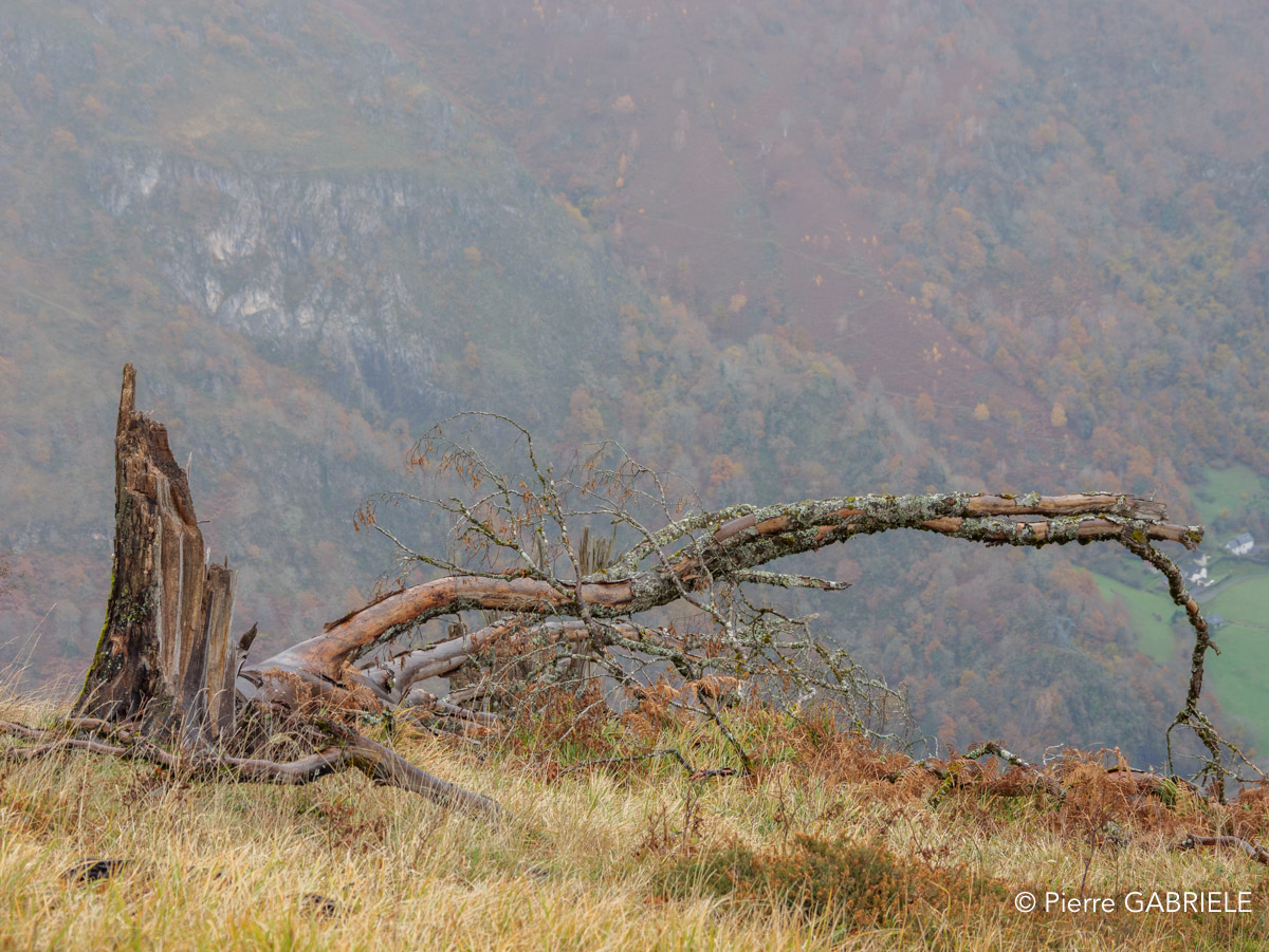 lescun-depuis-belvedere-gh7_3294.jpg