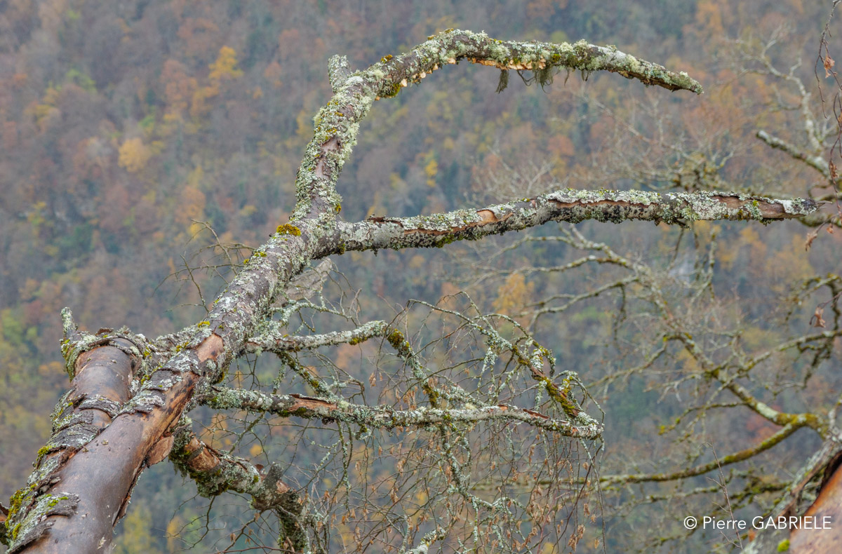 lescun-depuis-belvedere-gh7_3299.jpg