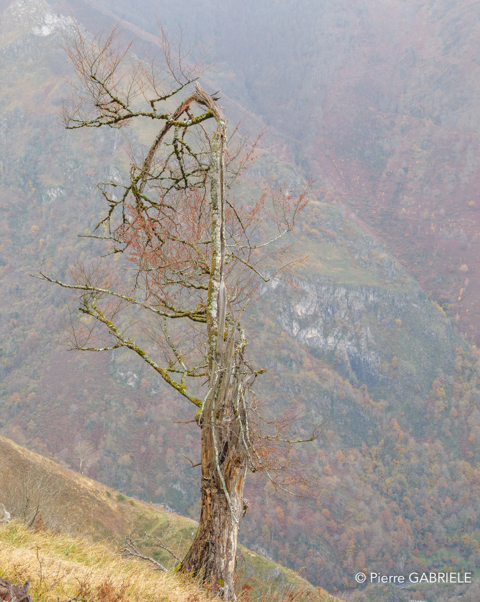 lescun-depuis-belvedere-gh7_3300.jpg