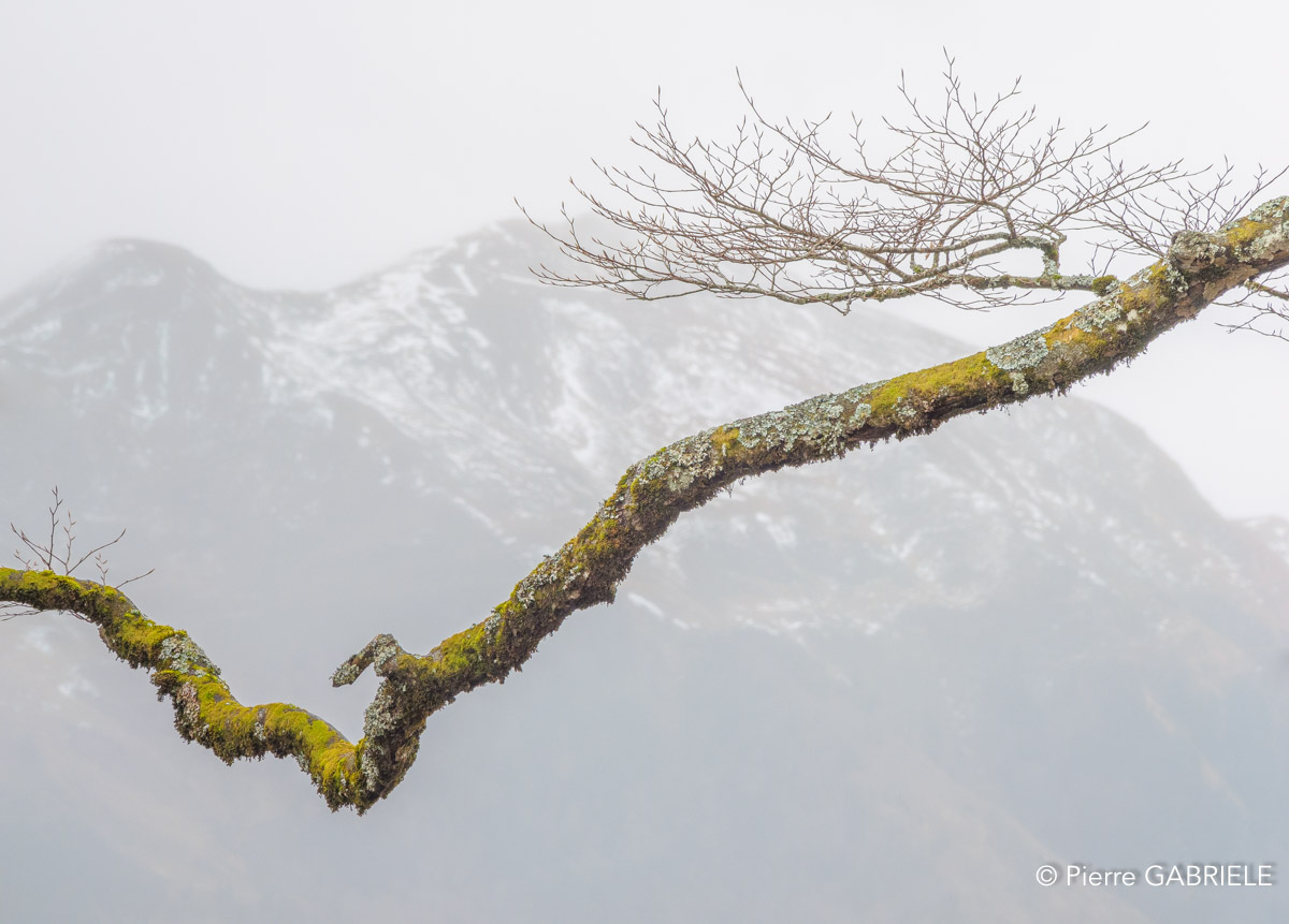 lescun-depuis-belvedere-gh7_3303.jpg