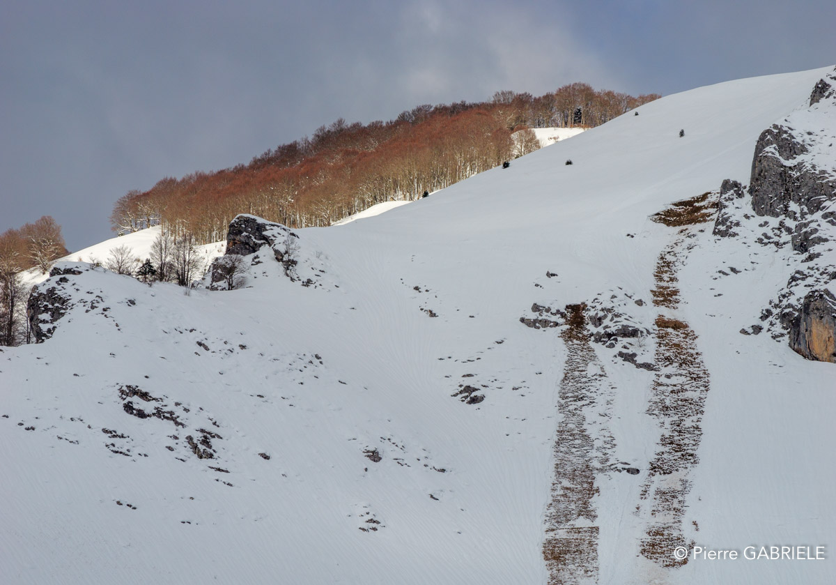 lescun-gh6_4682.jpg