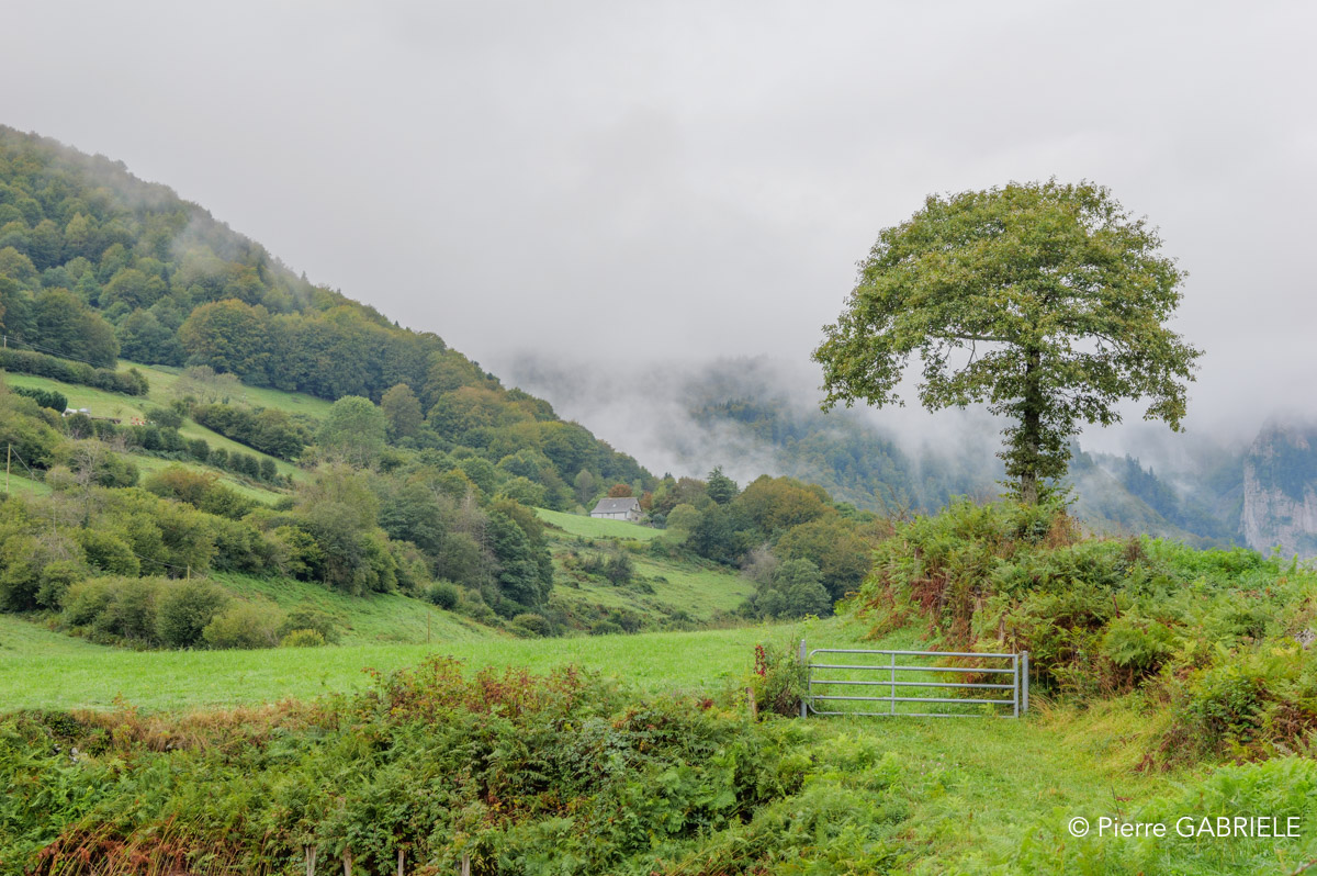 lescun-gh7_3053.jpg
