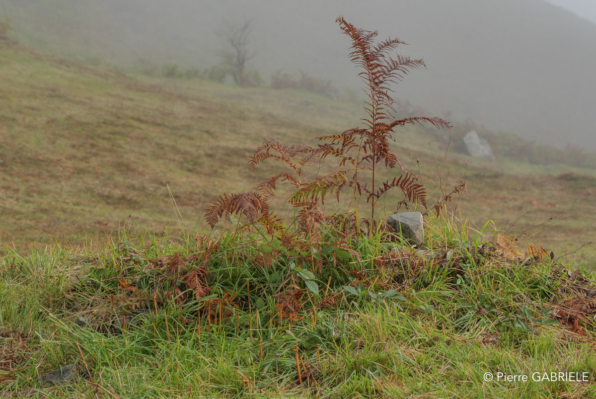 lescun-gh7_3187.jpg