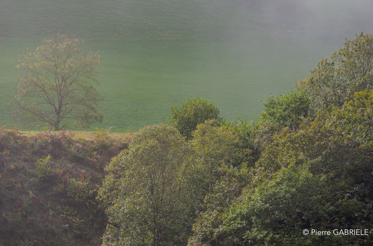 lescun-gh7_3189.jpg