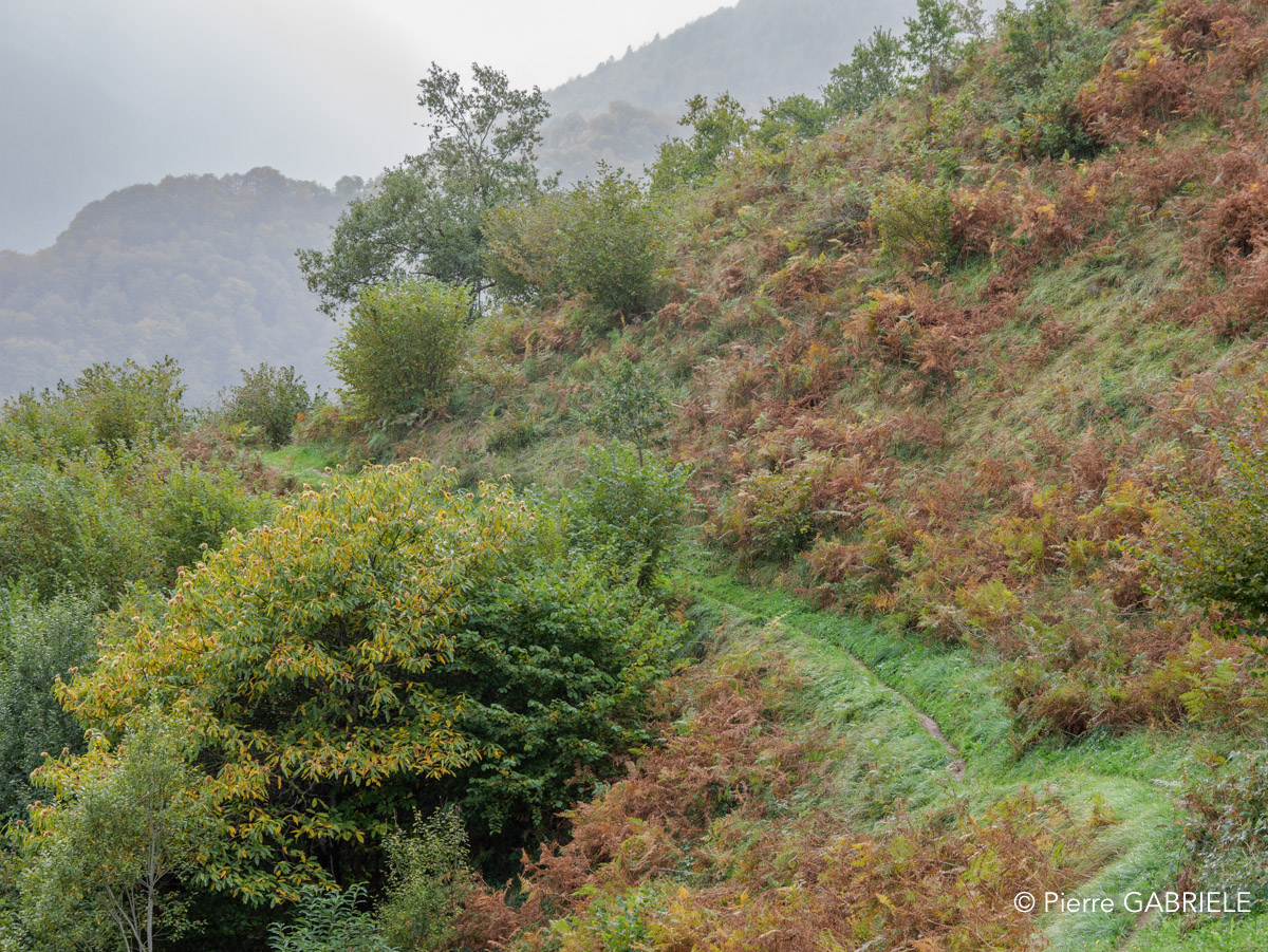 lescun-gh7_3218.jpg