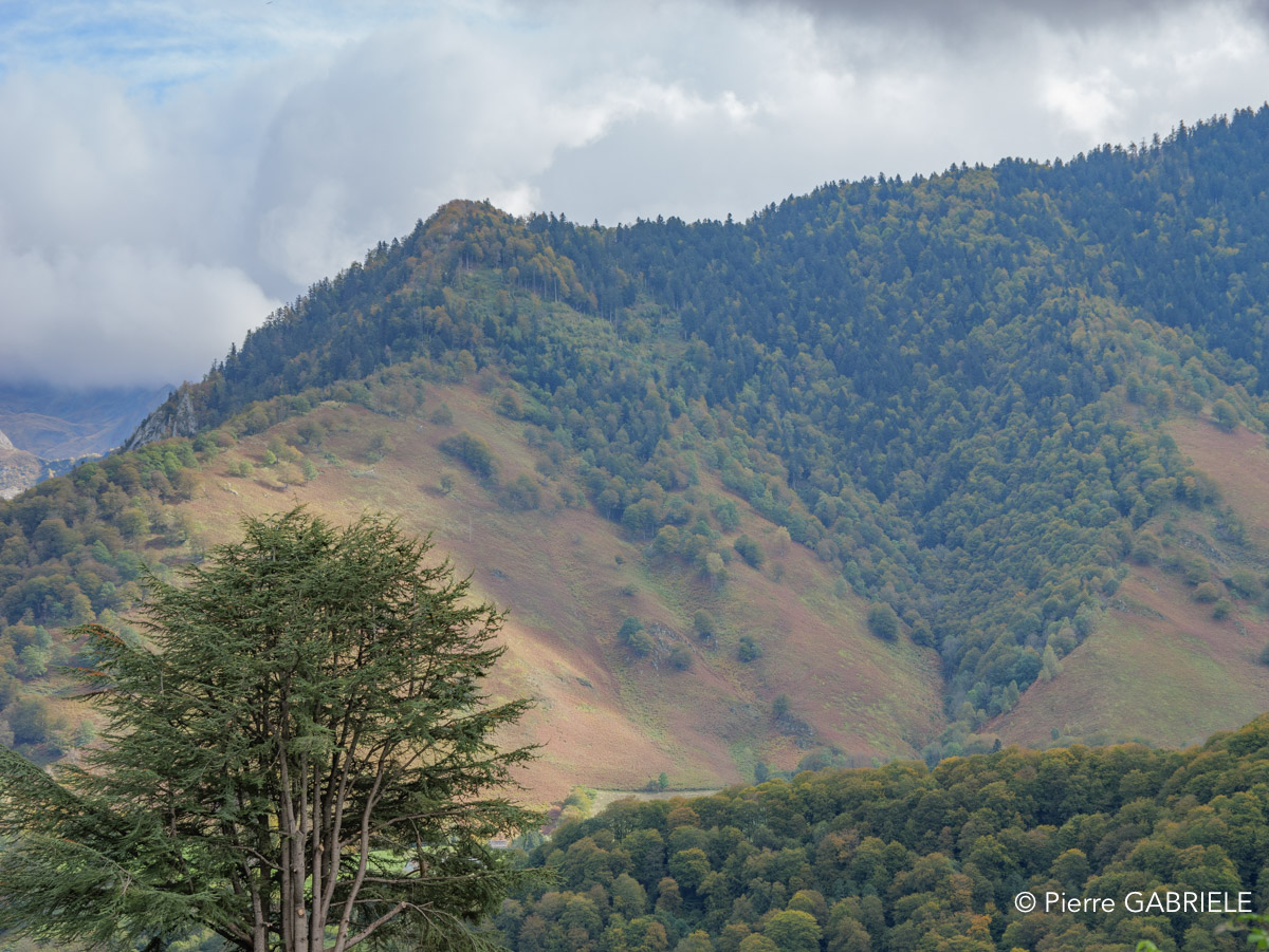 lescun-gh7_3220.jpg