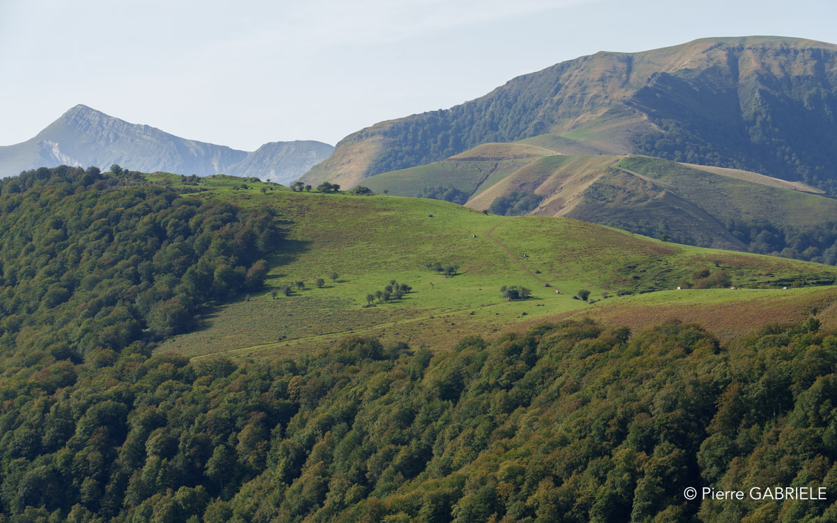 pays-basque-a74_0301.jpg