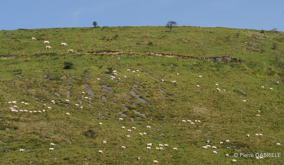 pays-basque-a74_0304.jpg