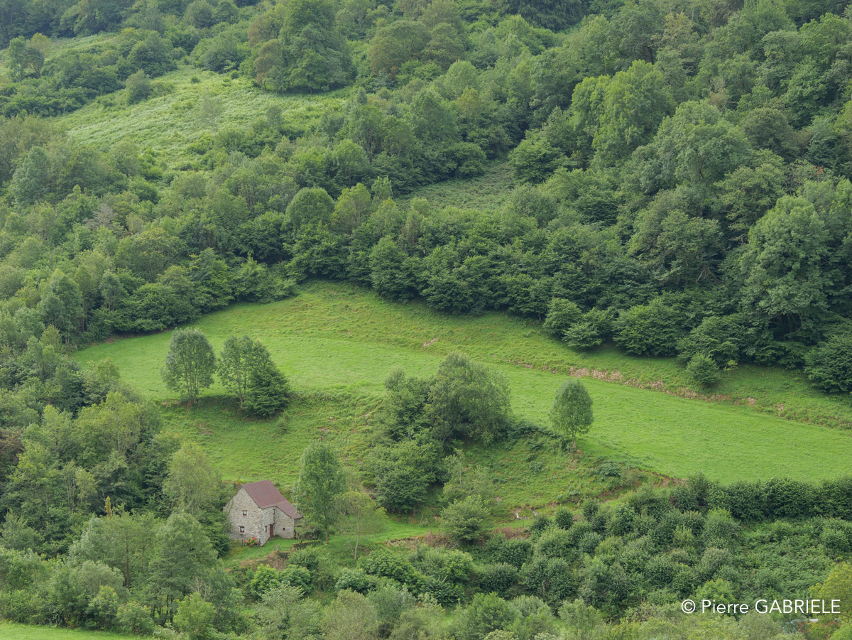 pays-basque-gh6_5715.jpg