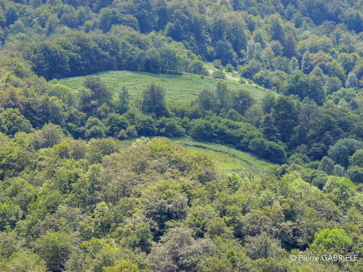 pays-basque-gh6_5724.jpg