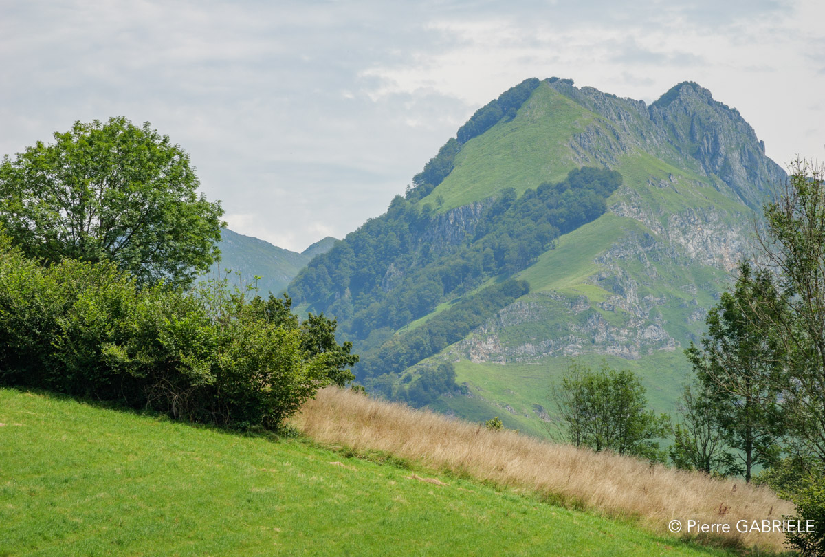 pays-basque-gh6_5734.jpg