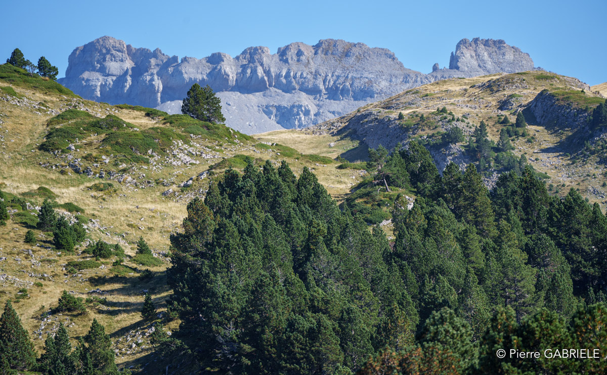 pierre-st-martin-a74_00418.jpg