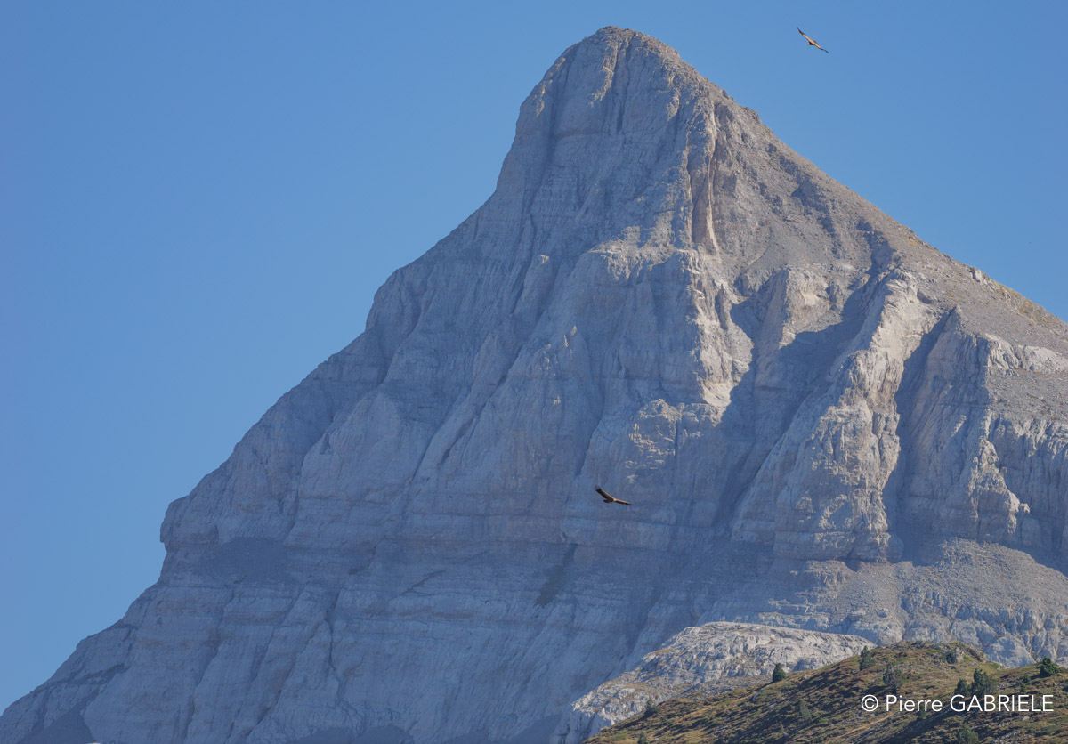 pierre-st-martin-gh7_3115.jpg
