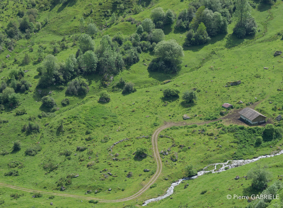 route-aubisque-gh6_5426.jpg