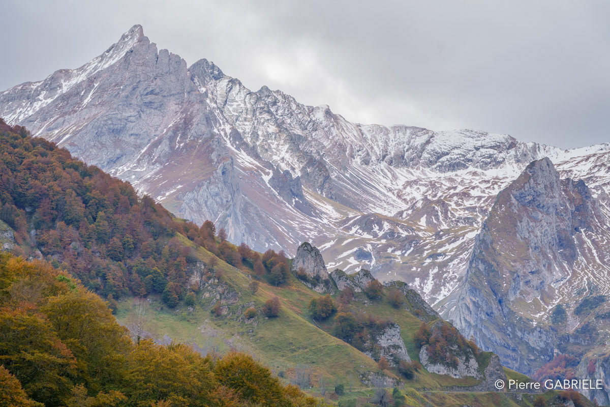 soulor-A74_01026.jpg