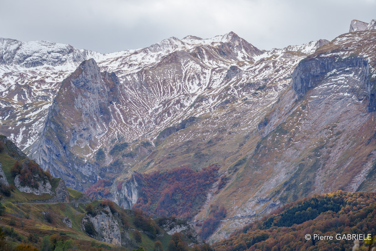 soulor-A74_01027.jpg