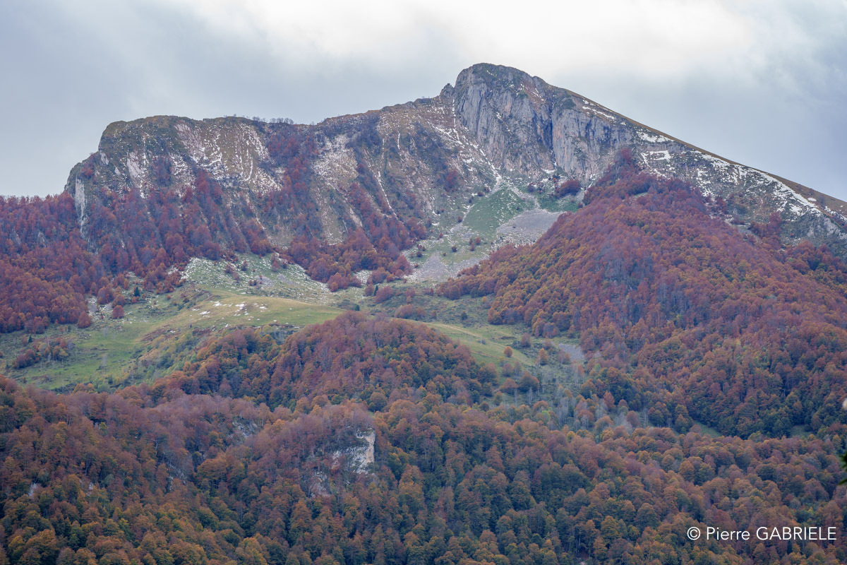 soulor-A74_01028.jpg