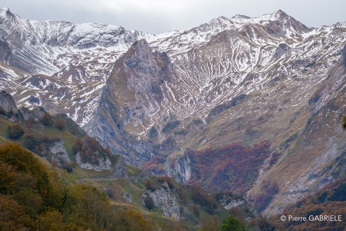 soulor-A74_01029.jpg